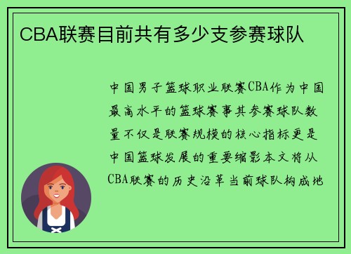 CBA联赛目前共有多少支参赛球队