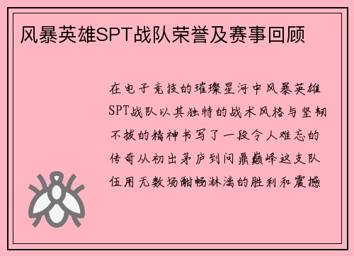 风暴英雄SPT战队荣誉及赛事回顾